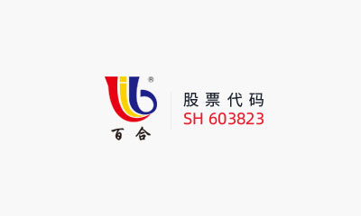 百合花集團(tuán)股份有限公司 關(guān)于對外投資暨內(nèi)蒙古源晟制鈉科技有限公司項(xiàng)目的進(jìn)展公告